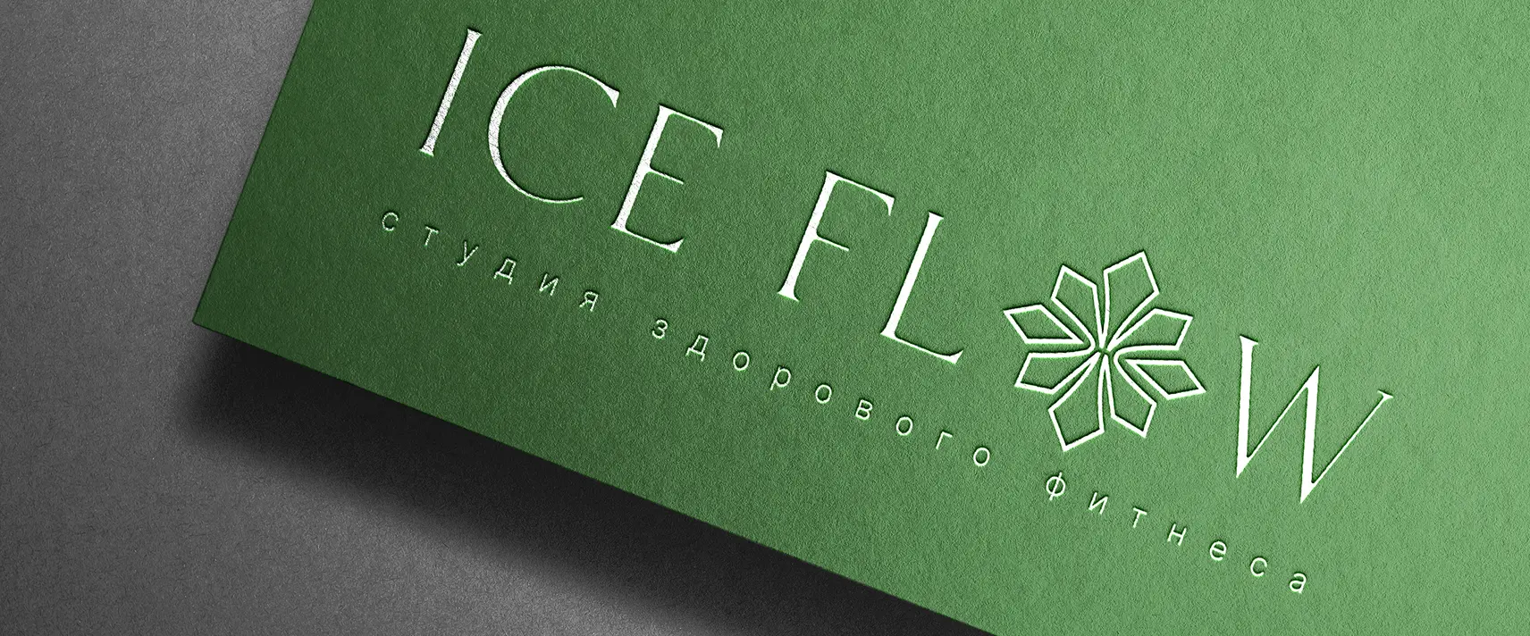 Пример работы для ICEFLOW